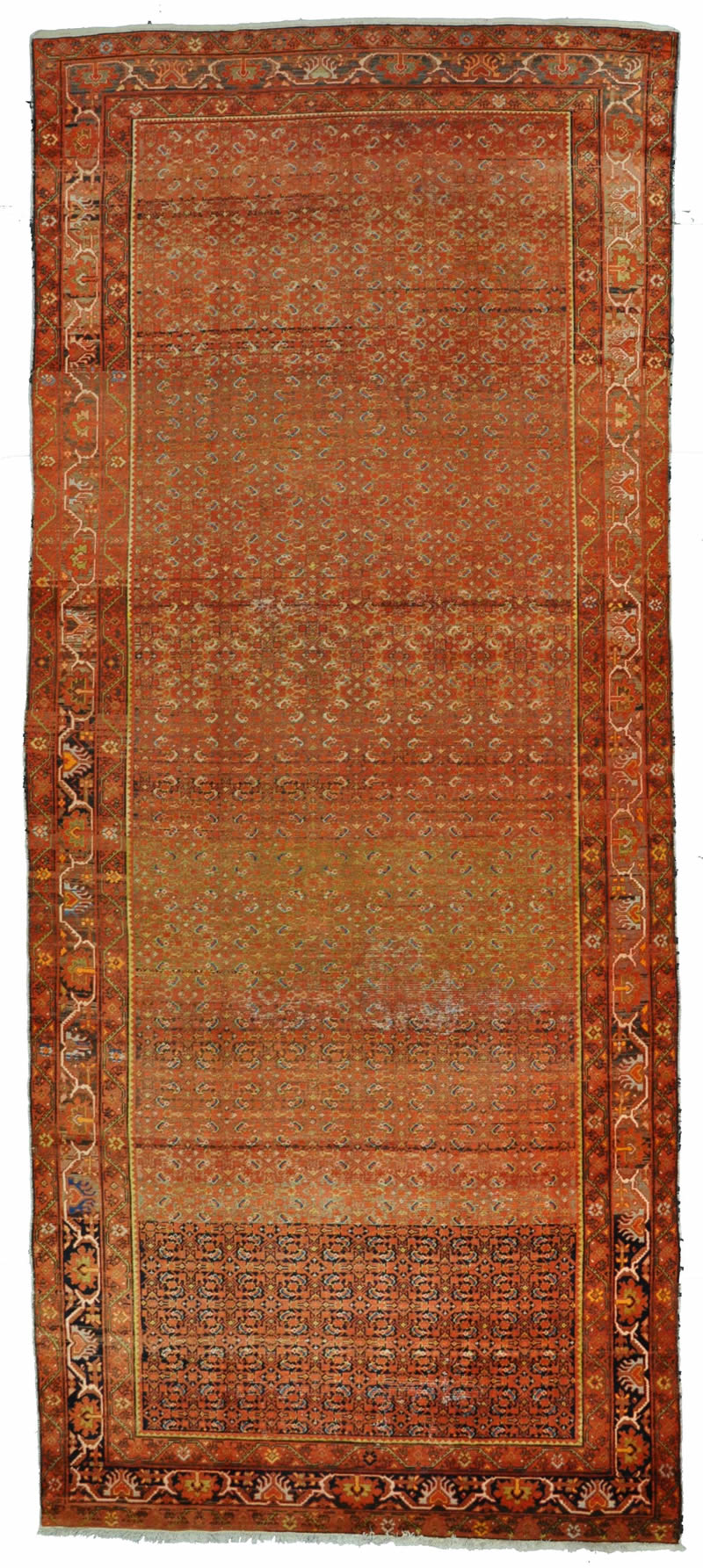 Persian Rug